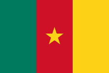 Flag Cameroun